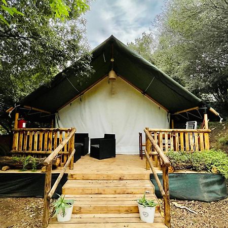 New Camping Coccorrocci Marina di Gairo Exterior foto