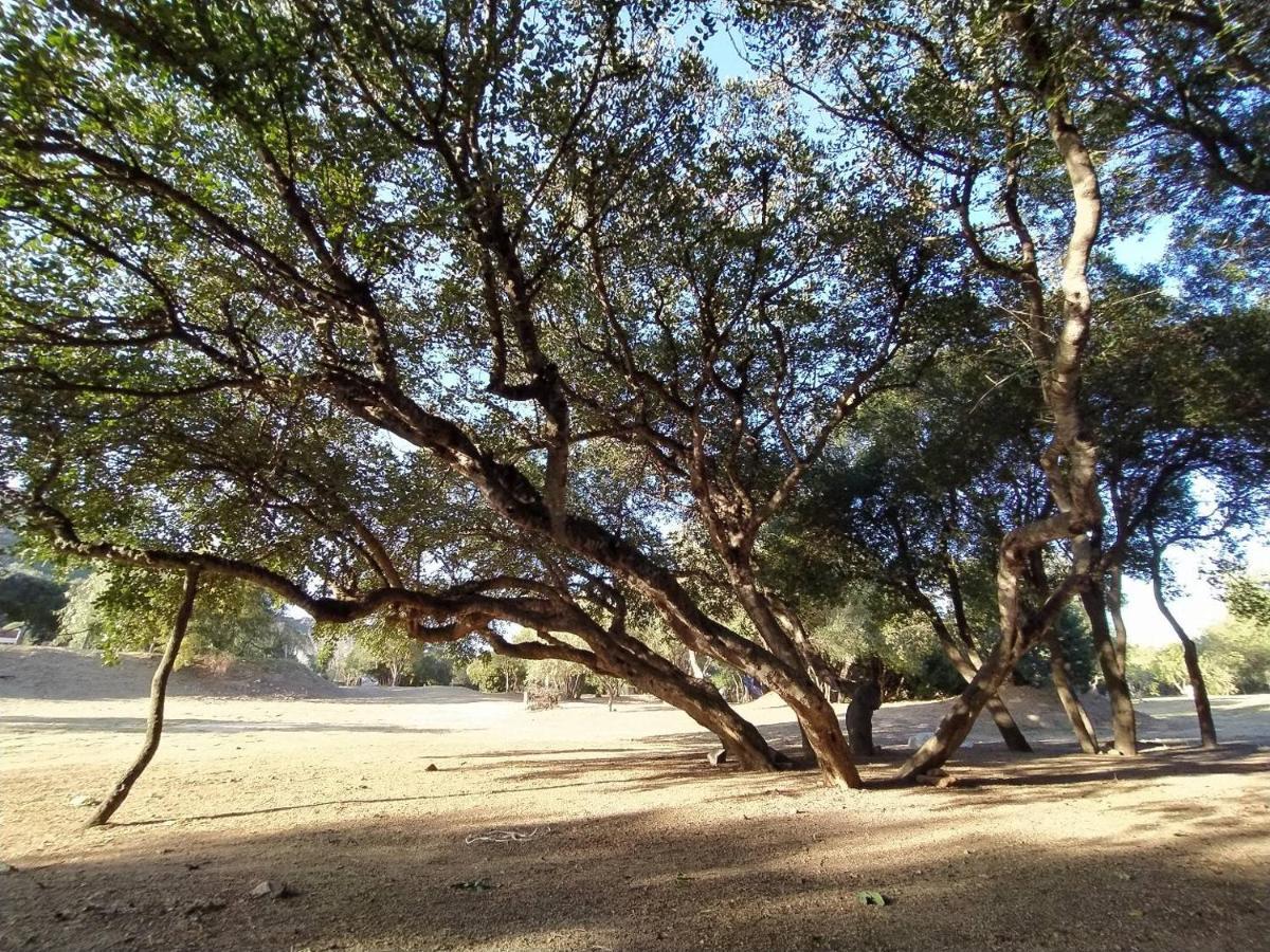 New Camping Coccorrocci Marina di Gairo Exterior foto