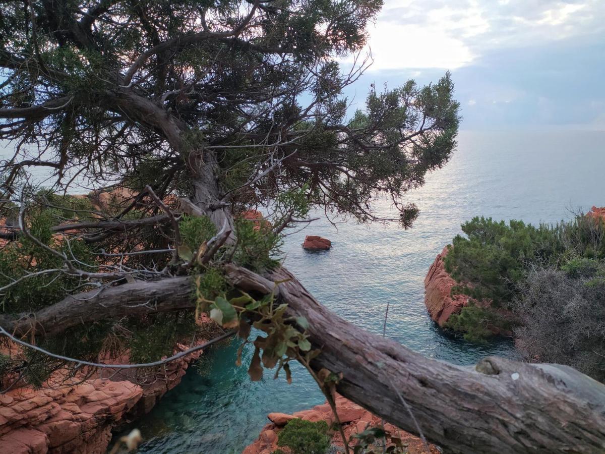 New Camping Coccorrocci Marina di Gairo Exterior foto